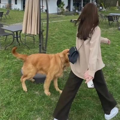 我的家人和其他动物